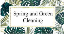 Avatar for Spring and Green Cleaning