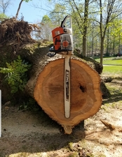 Majestic Tree Service logo