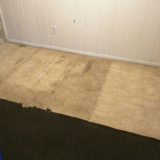 Advanced Carpet Cleaning And Pressure Washing Tampa Fl 33602 Homeadvisor