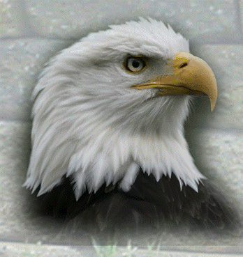Eagles Hardscape, LLC logo