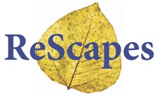 Avatar for ReScapes, LLC