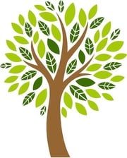 A Ortiz Landscaping & Powerwashing logo