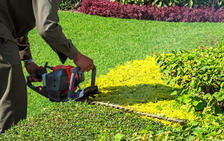 BTS Tree Service, LLC logo