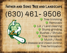 Avatar for Father and sons Tree Service - Home  Facebook