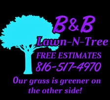 Avatar for B&B Lawn and Tree Service