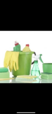 Avatar for Maid 2 Clean