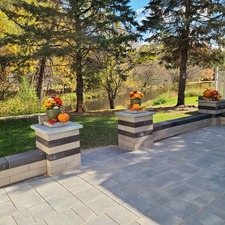 V & V Tree and Landscape logo
