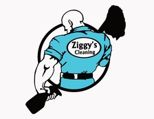 Ziggy's Cleaning Services logo