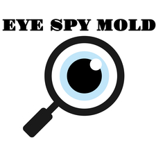 Avatar for EYE SPY MOLD LLC