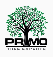 Logo for Primo Tree Experts, LLC