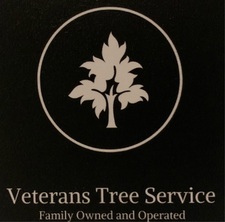 Avatar for Veteran Tree Service
