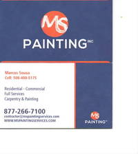 Logo for MS Painting, Inc.