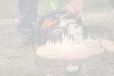 Logo for Argonne Timber & Land, LLC