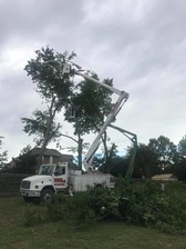Logo for Tree Surgeons, LTD. - Home Facebook