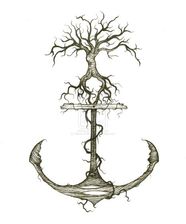 Logo for Anchoroot