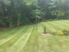 Logo for McNeill's Mowing and More