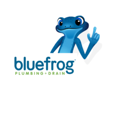Avatar for Bluefrog Plumbing + Drain of Central CT