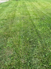 Logo for Ck Lawn Care
