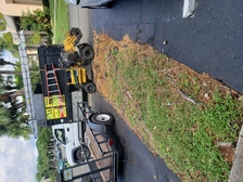 A.M. Trimming and Removal Service, Corp. logo