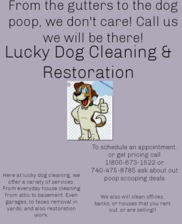Avatar for Lucky Dog Cleaning and Restoration
