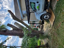 Orellana Tree Service logo