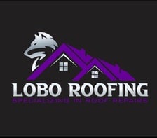 Avatar for Lobo Roofing