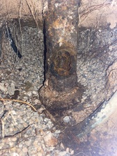 Avatar for EZI Maintenance