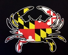 Logo for Old Bay Pest Control