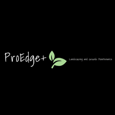 Avatar for ProEdge + Landscaping and Grounds Maintenance