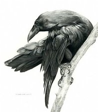 Avatar for Corbeau Lawn Service, LLC