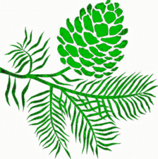 Logo for Pinebough LLC