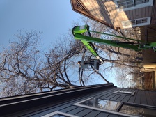 Logo for Adrean's Tree Service