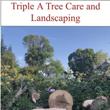 Triple A Tree Care and Landscaping logo