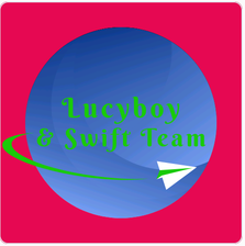 Swift Team Cleaning Services, LLC logo