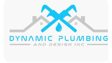 Avatar for Dynamic Plumbing and Design