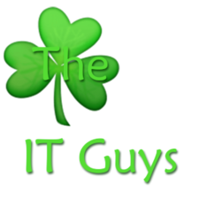 The IT Guys, LLC logo