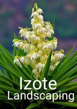 Logo for Izote Landscaping