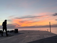 Avatar for W.F. Framing and Trim LLC