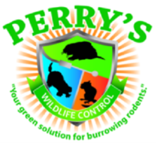 Avatar for Perry's Wildlife Control - Home Facebook