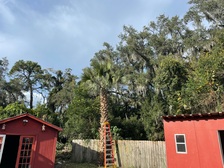 The Force of Nature Tree Service & Lawn Care logo