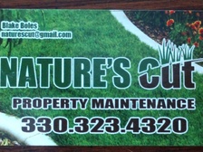 Avatar for Nature's Cut Property Maintenance