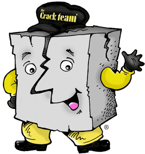 The Crack Team logo