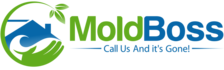 Avatar for Mold Boss, LLC