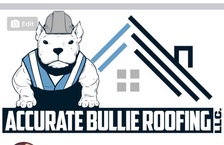 Logo for Accurate Bullie Constuction