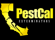 Avatar for Pestcal Exterminators