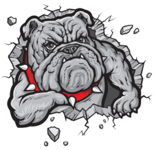Avatar for Bullie Contracting