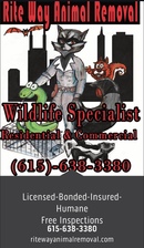 Logo for Rite Way Animal Removal