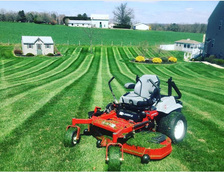 Pedroza's Lawn Service logo