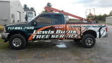 Lewis Burns Tree Service logo