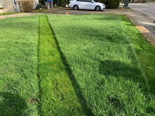 New Generation Lawn Care logo